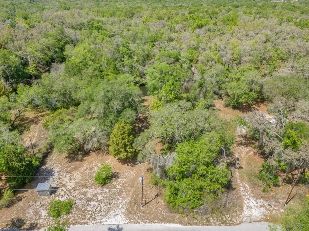 33013 Round Table Road Ridge Manor FL 33523