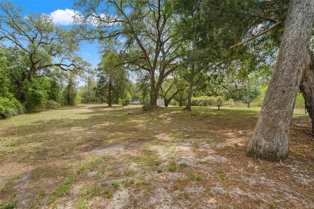 33013 Round Table Road Ridge Manor FL 33523