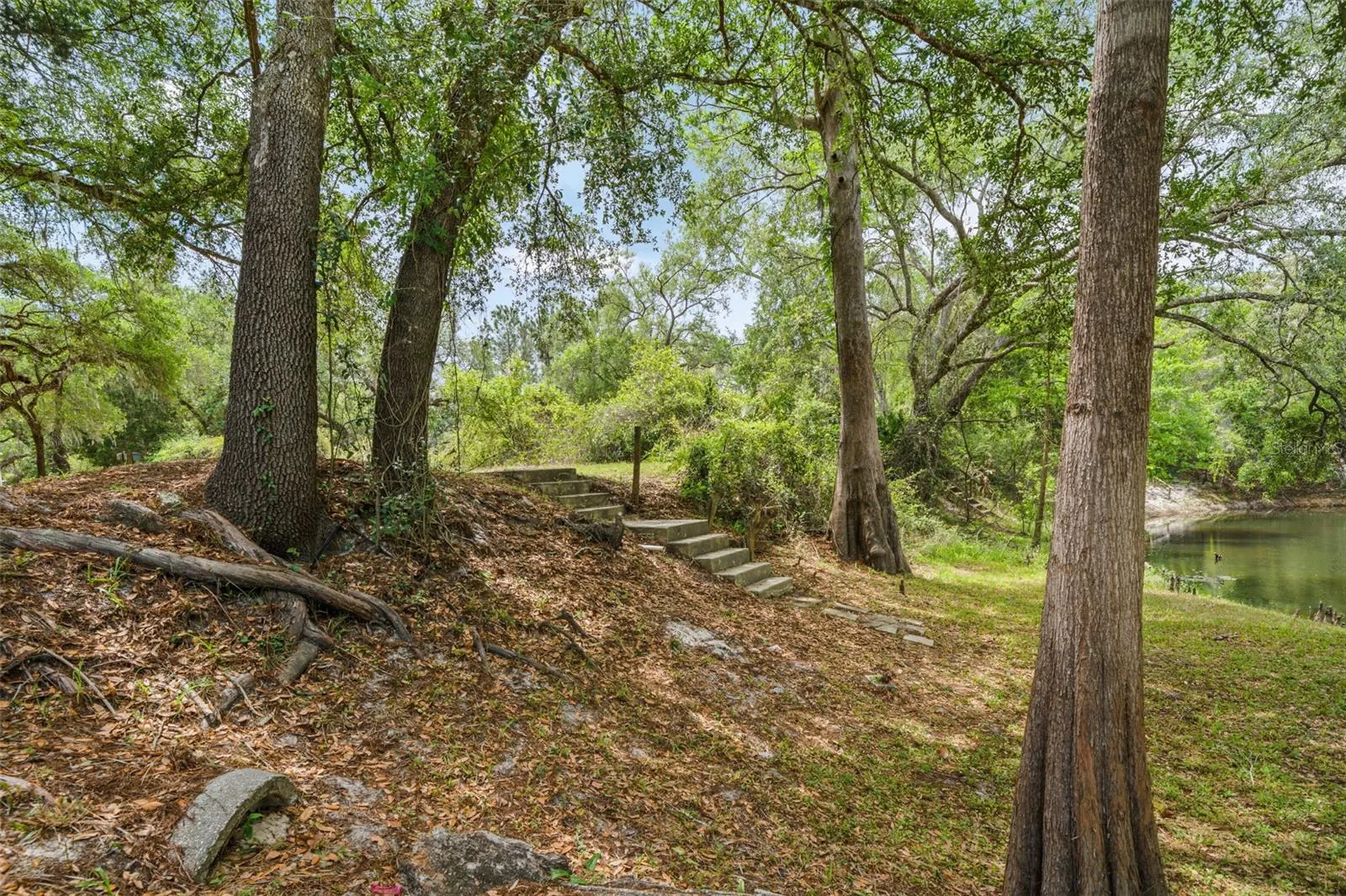33013 Round Table Road Ridge Manor FL 33523
