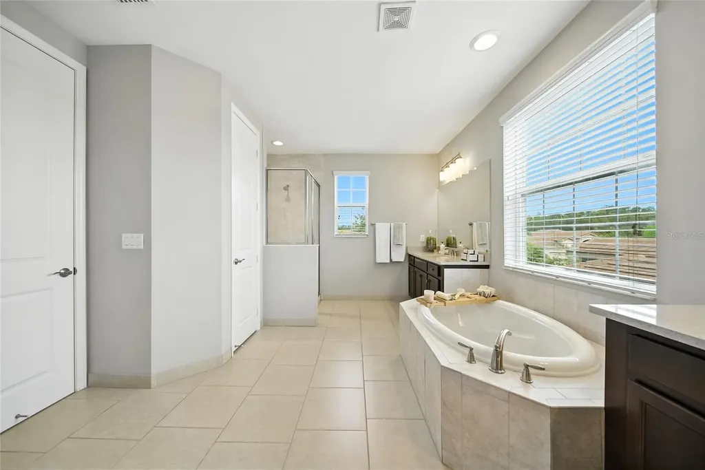 2495 Oakwood Preserve Drive Wesley Chapel FL 33543