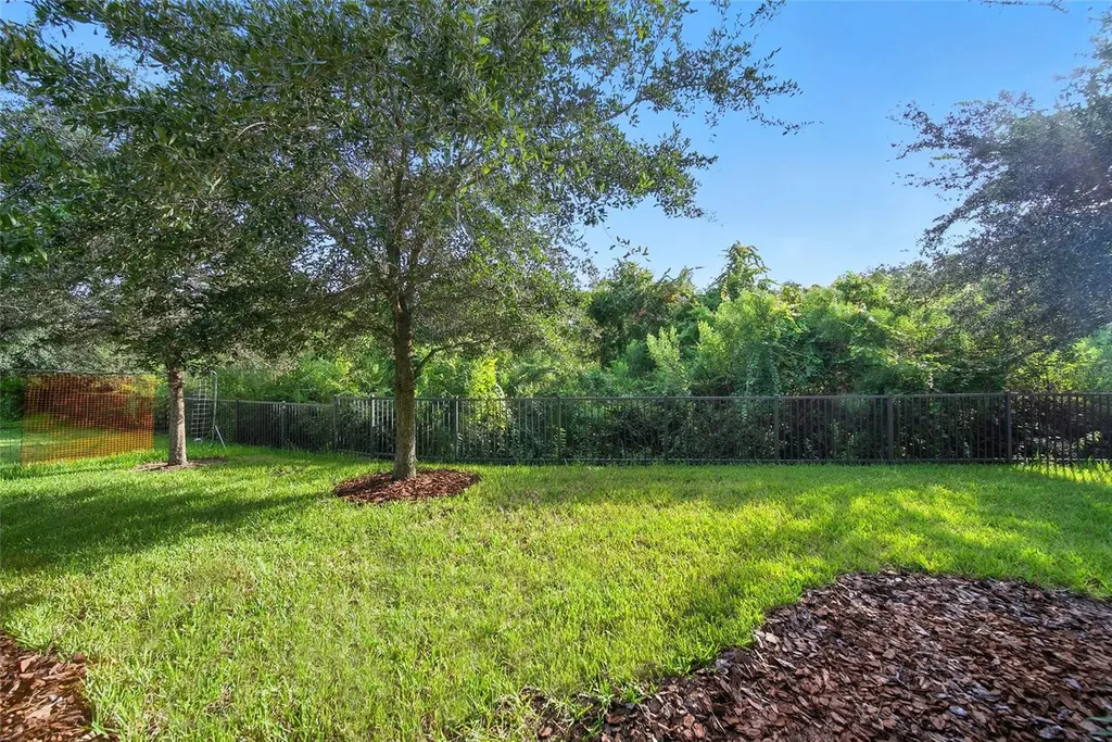 2495 Oakwood Preserve Drive Wesley Chapel FL 33543