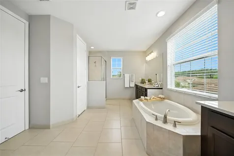 2495 Oakwood Preserve Drive Wesley Chapel FL 33543