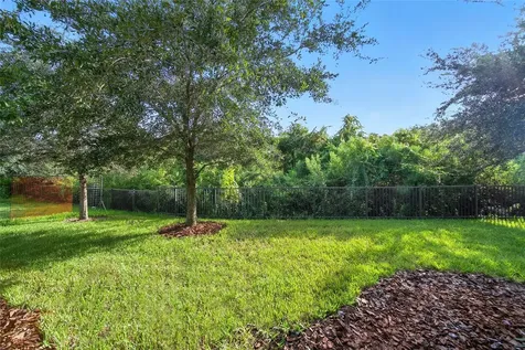 2495 Oakwood Preserve Drive Wesley Chapel FL 33543