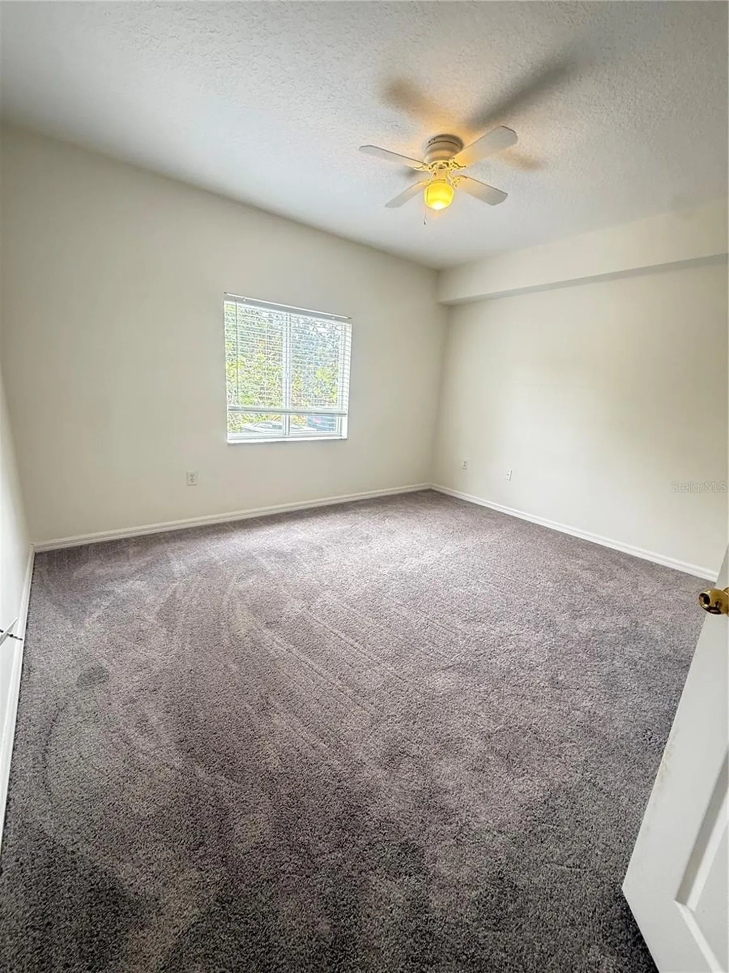 9524 Newdale Way Riverview FL 33578