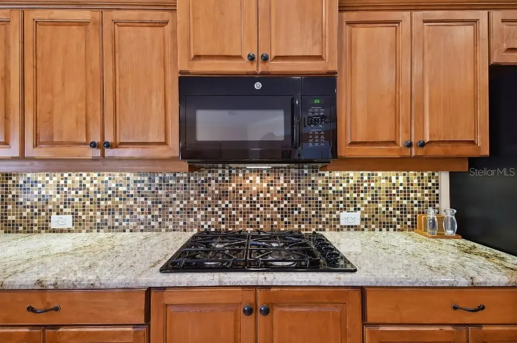 17923 Arbor Haven Drive Tampa FL 33647
