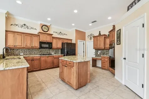 17923 Arbor Haven Drive Tampa FL 33647