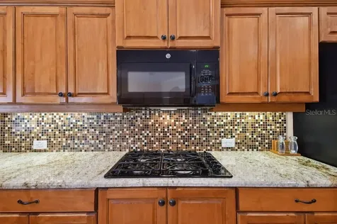 17923 Arbor Haven Drive Tampa FL 33647