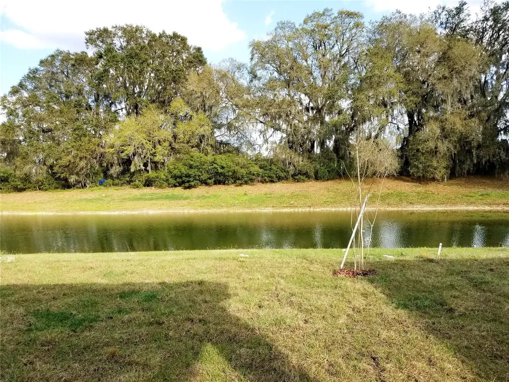 4923 Rolling Green Drive Wesley Chapel FL 33543