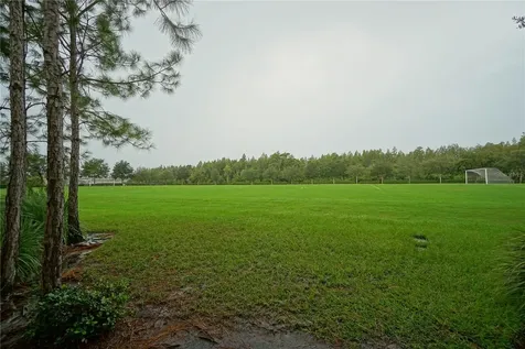 4923 Rolling Green Drive Wesley Chapel FL 33543