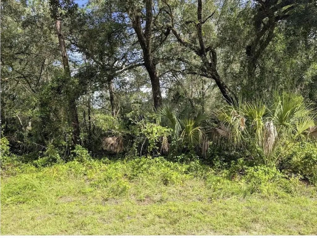 914 Poinciana Drive Indian Lake Estates FL 33855
