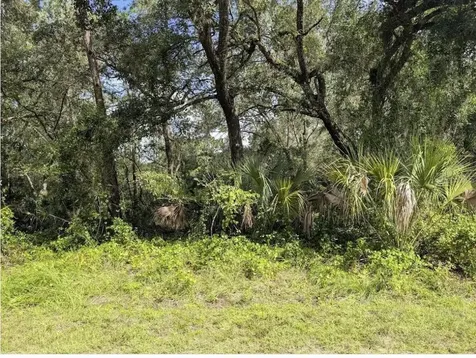 914 Poinciana Drive Indian Lake Estates FL 33855