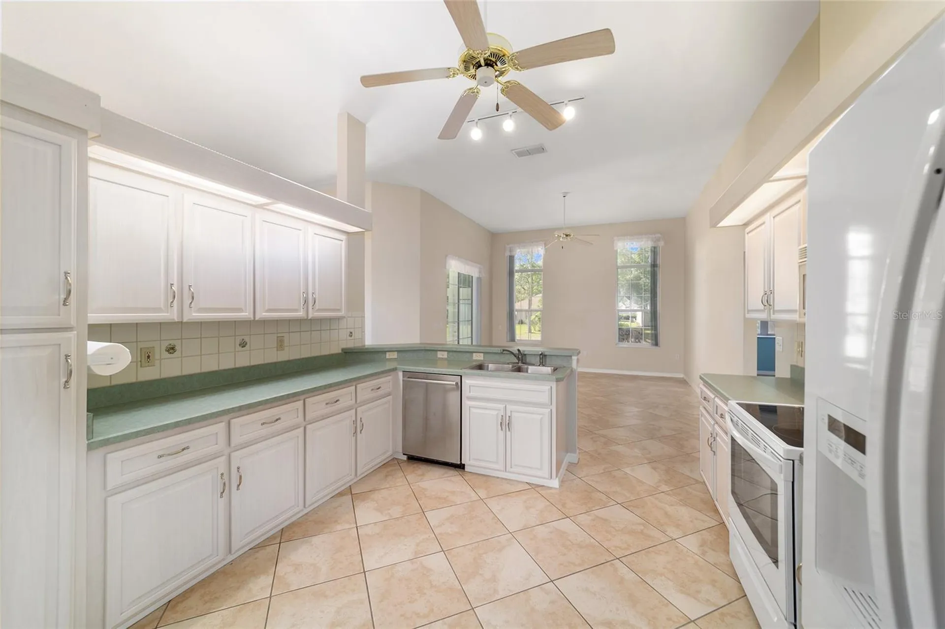 6541 SW 111th Loop Ocala FL 34476