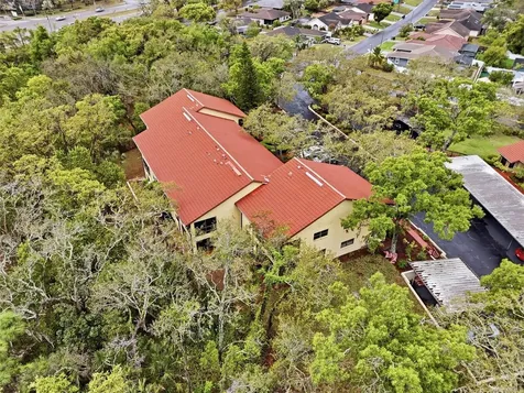 7650 Forest Trail Port Richey FL 34668