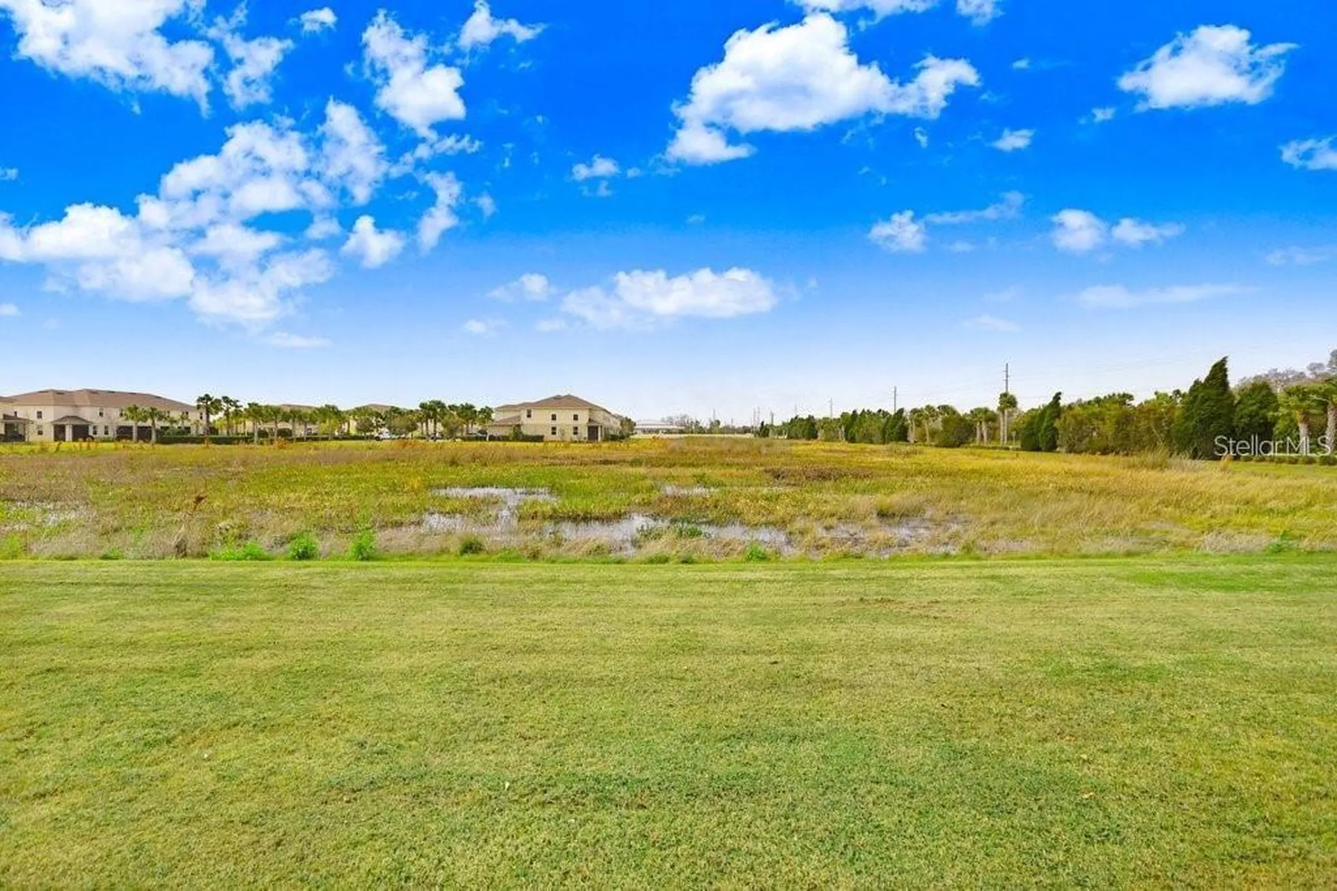 10976 Verawood Drive Riverview FL 33579