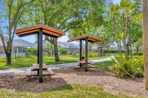1744 Lady Palm Court Trinity FL 34655