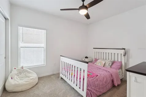 1099 Calico Pointe Circle Groveland FL 34736