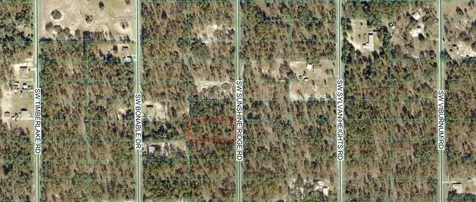 00 SW Sunshine Ridge Dunnellon FL 34431