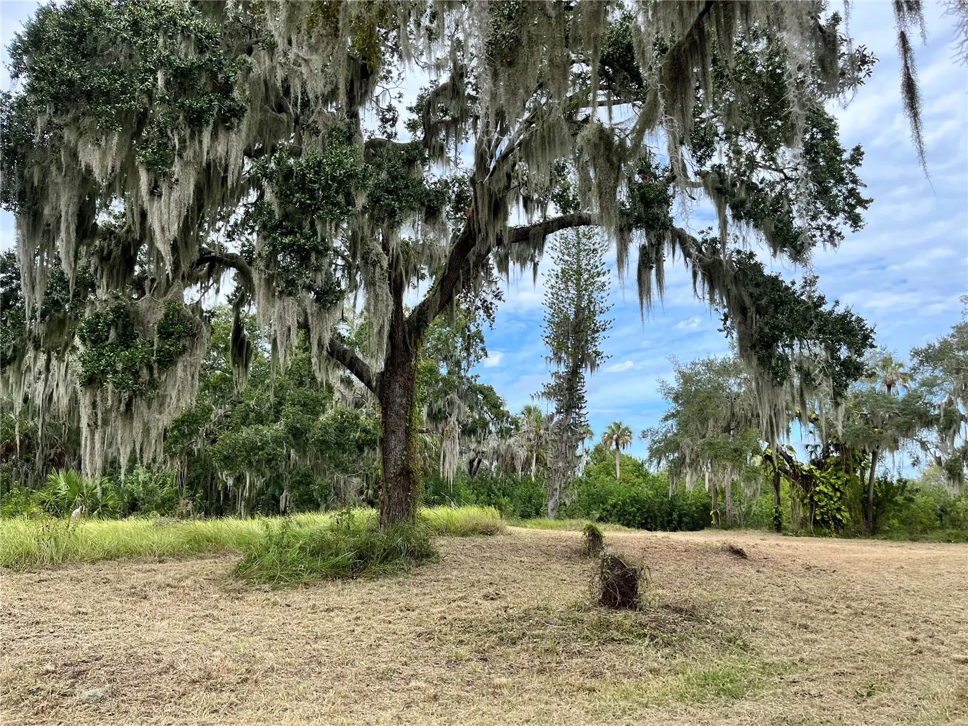 6715 16th Avenue E Palmetto FL 34221