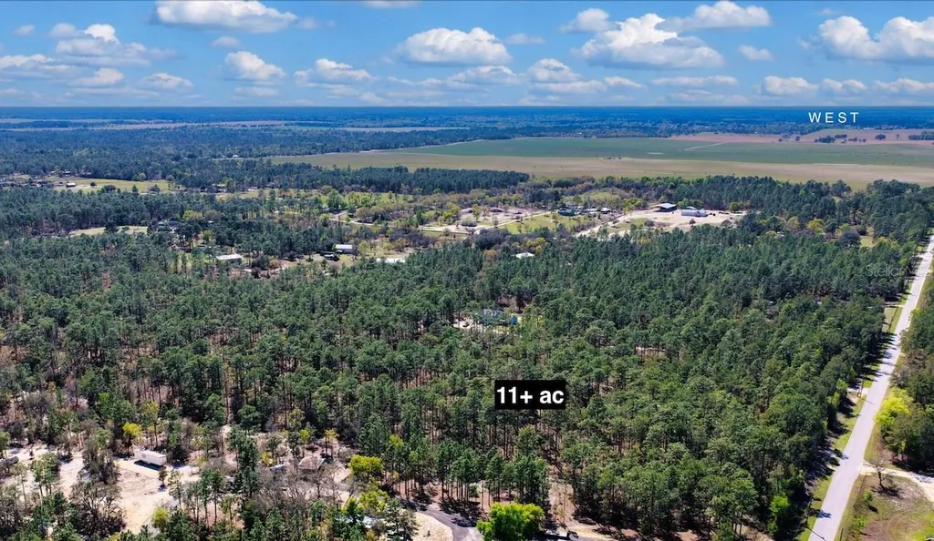 10TH Street SE Williston FL 32696