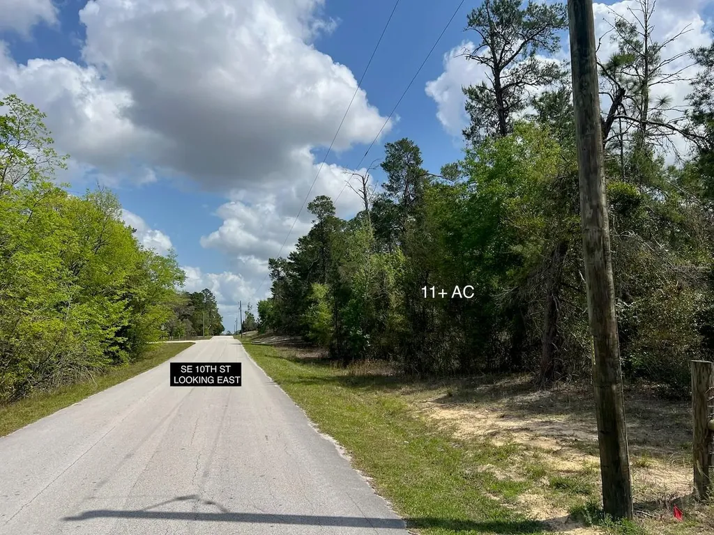 10TH Street SE Williston FL 32696