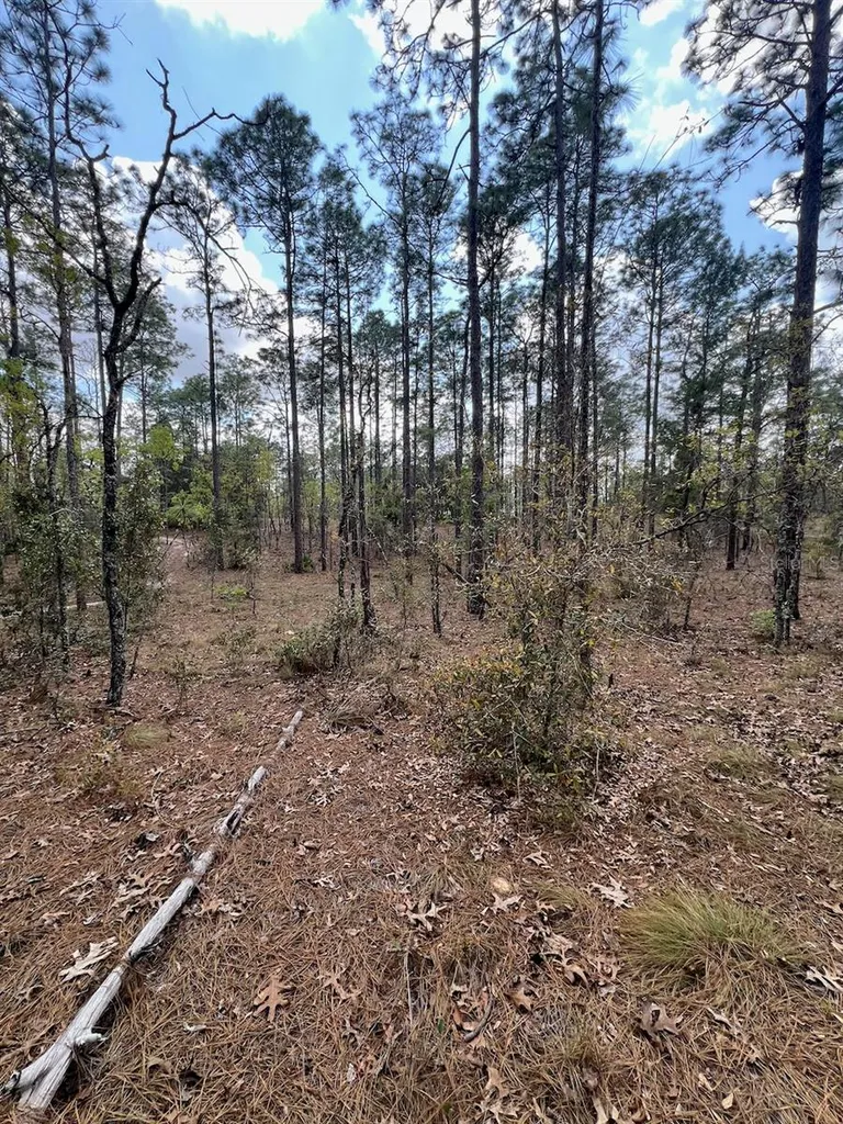 10TH Street SE Williston FL 32696