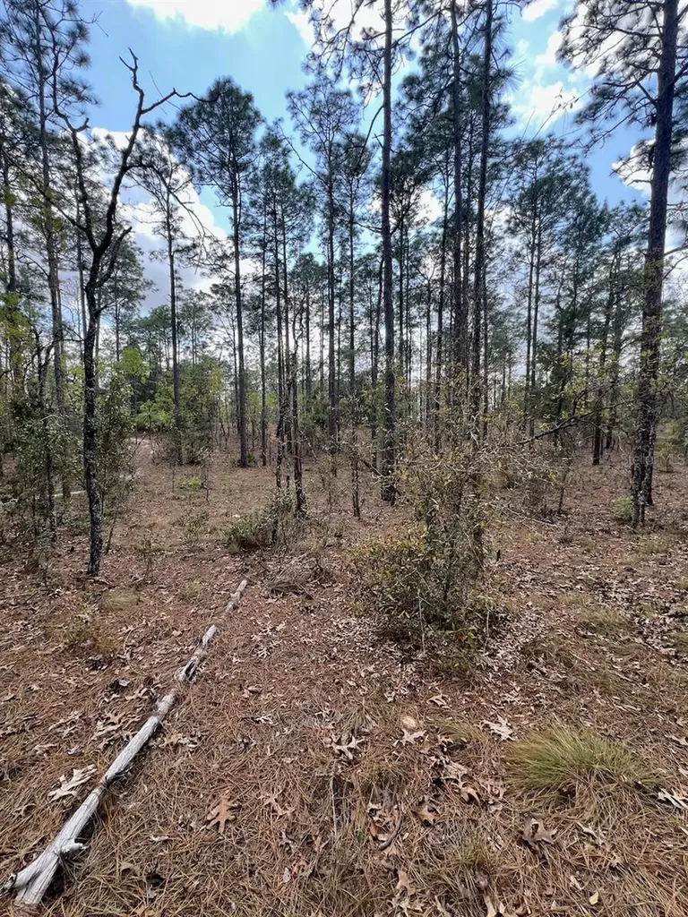 10TH Street SE Williston FL 32696