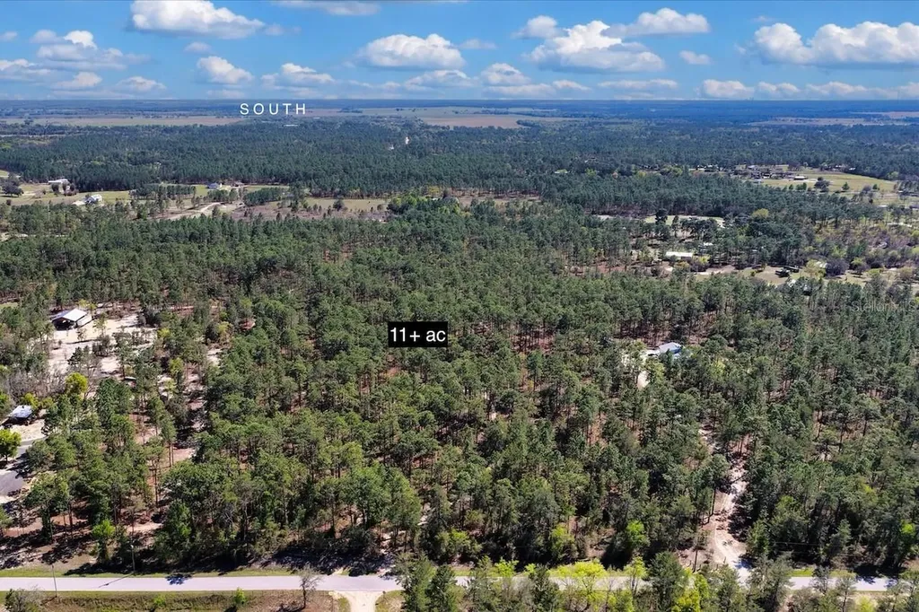 10TH Street SE Williston FL 32696