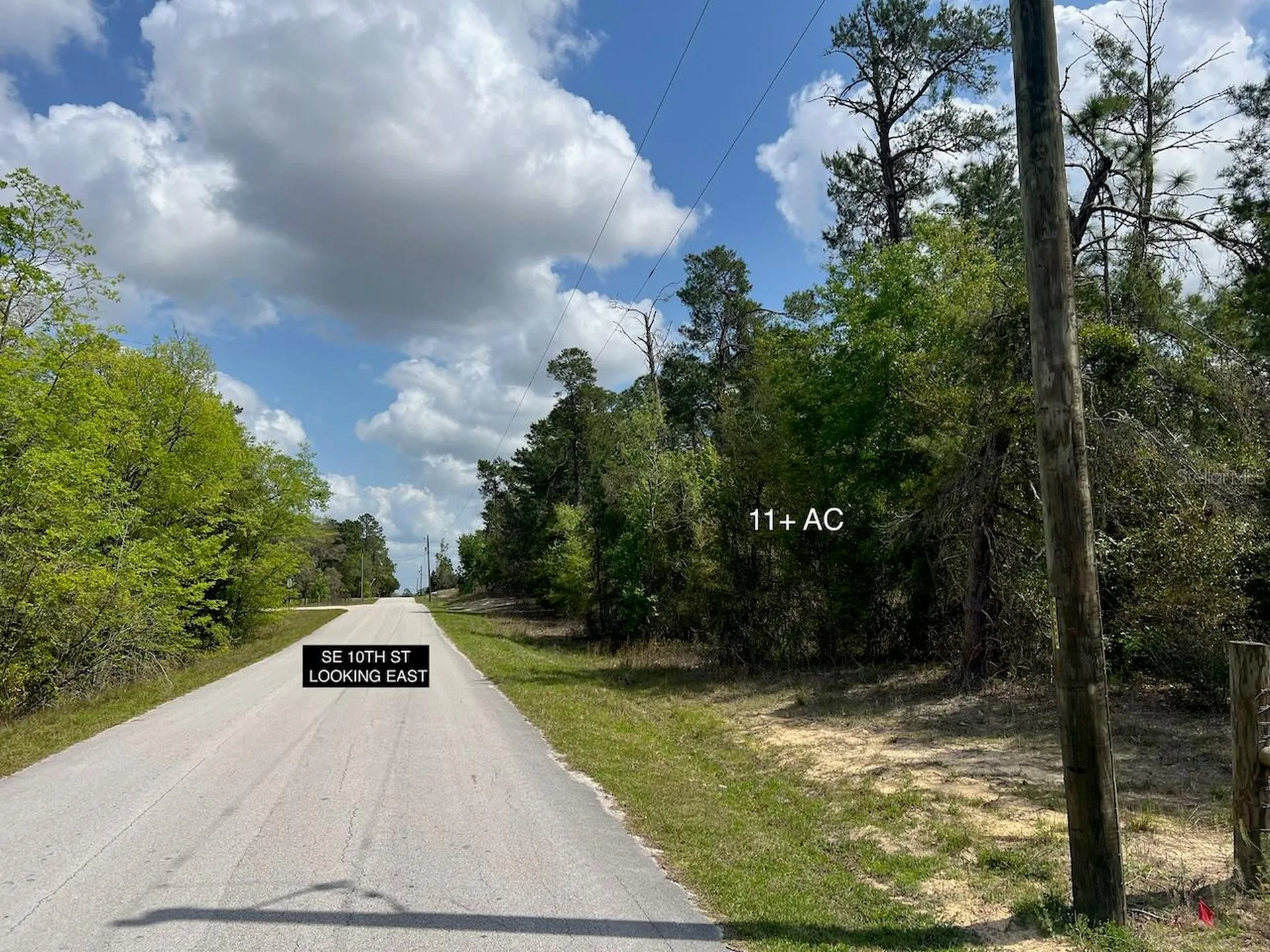 10TH Street SE Williston FL 32696
