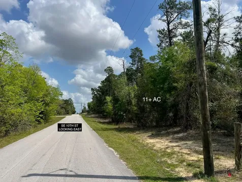 10TH Street SE Williston FL 32696