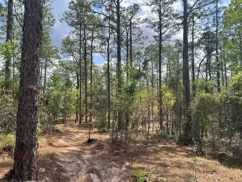 10TH Street SE Williston FL 32696