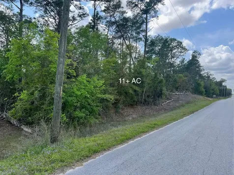 10TH Street SE Williston FL 32696