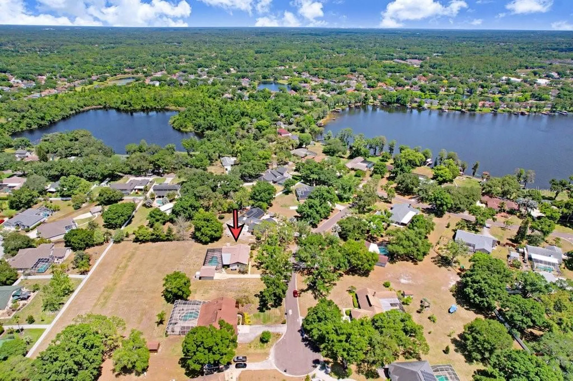 9005 Haymarket Lane Odessa FL 33556