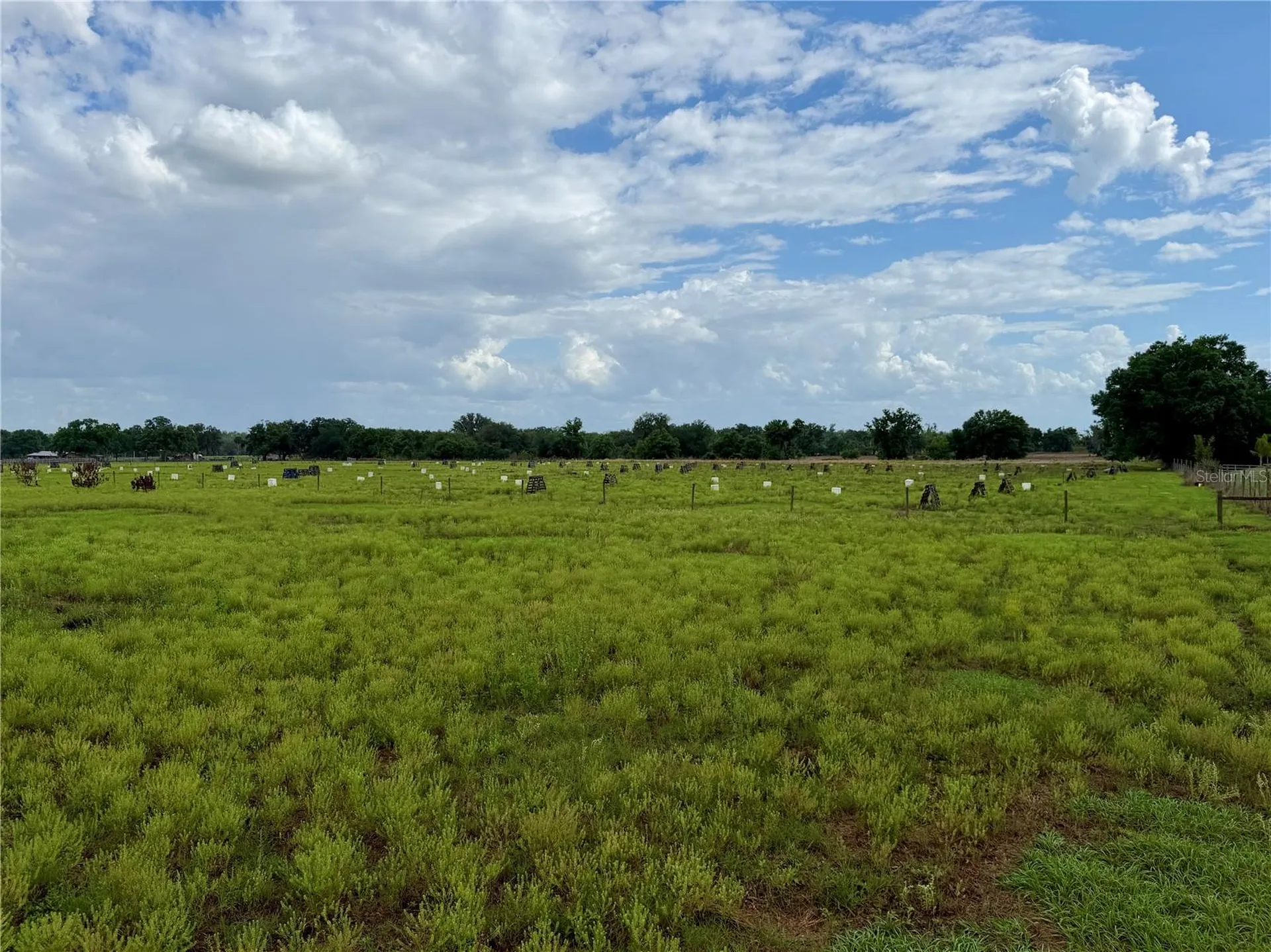 W Street Road 64 Wauchula FL 33873