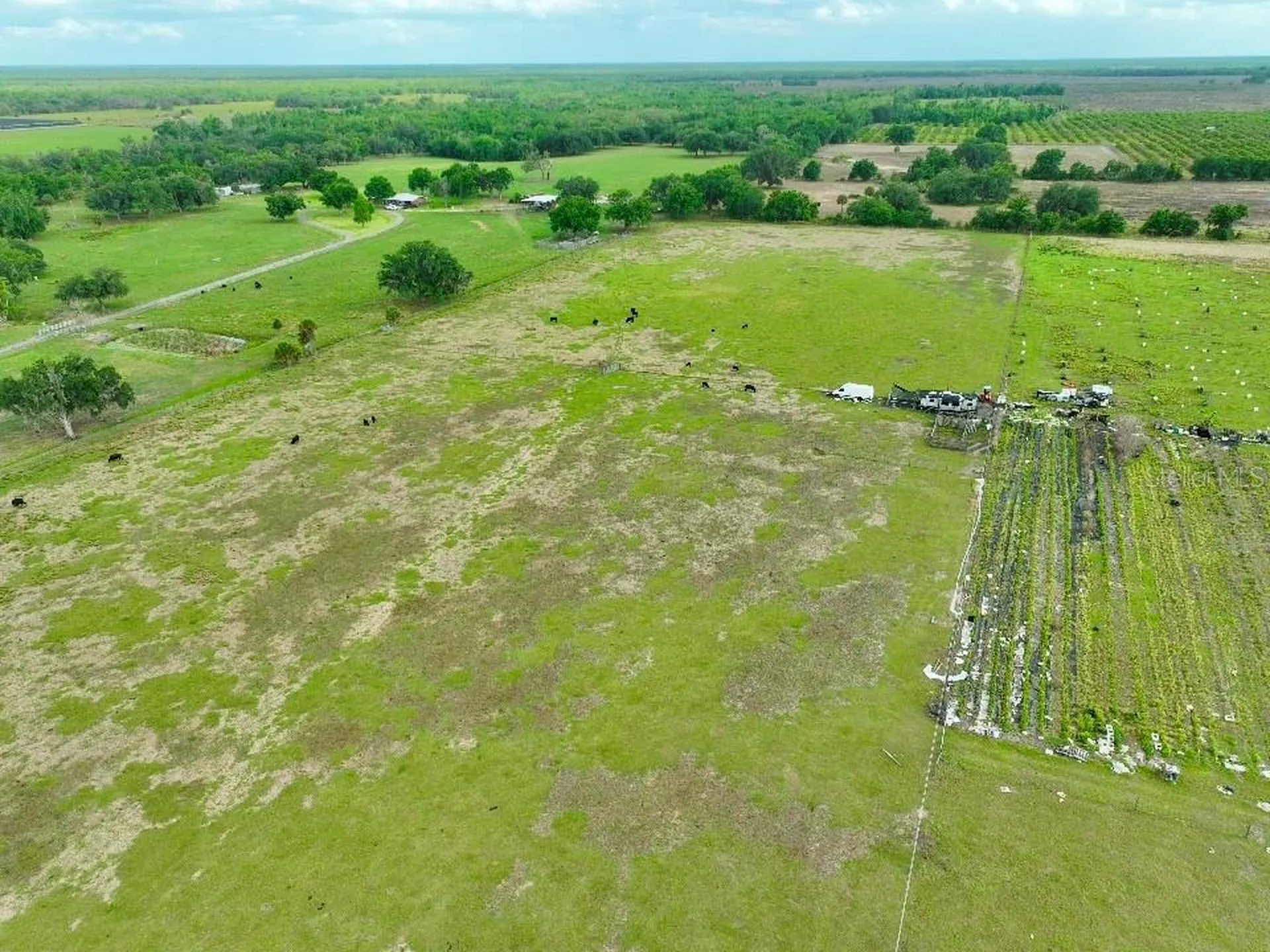 W Street Road 64 Wauchula FL 33873