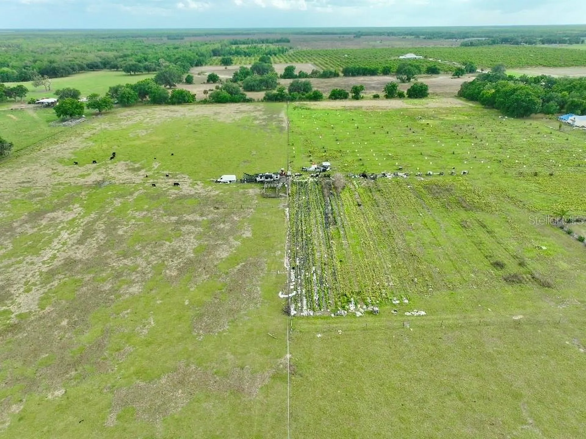 W Street Road 64 Wauchula FL 33873