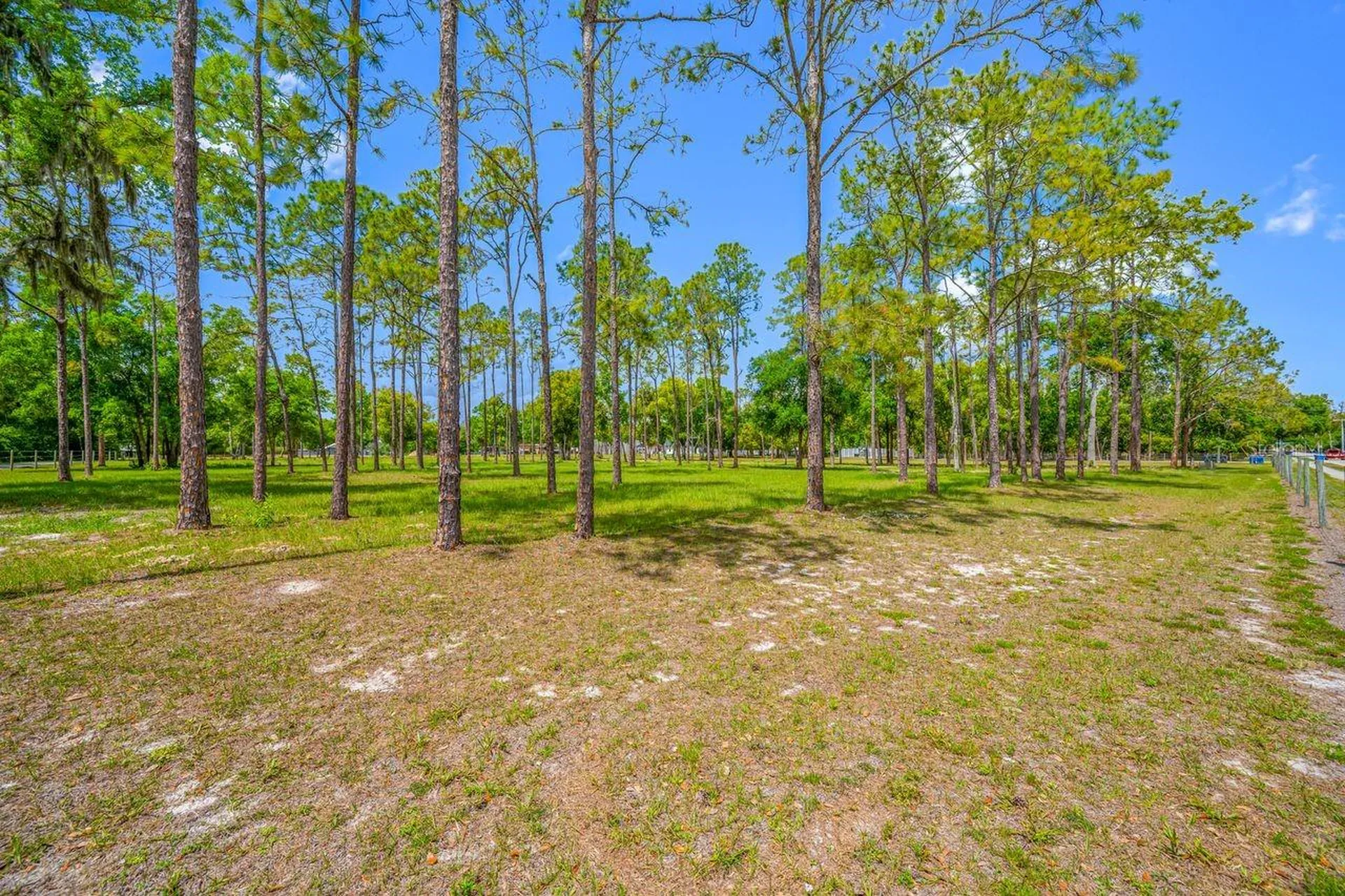0 Hanna Road Lutz FL 33549