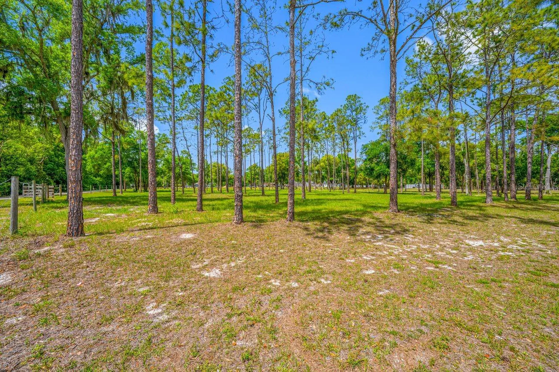 0 Hanna Road Lutz FL 33549