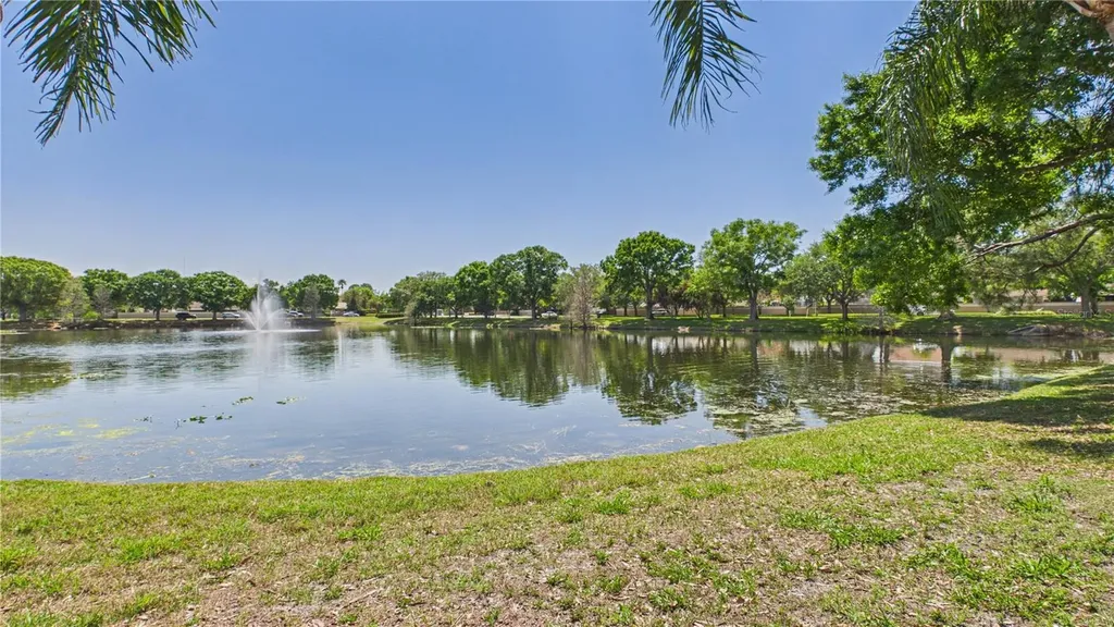 8609 Boysenberry Drive Tampa FL 33635