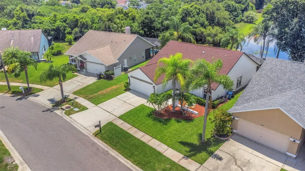 8609 Boysenberry Drive Tampa FL 33635