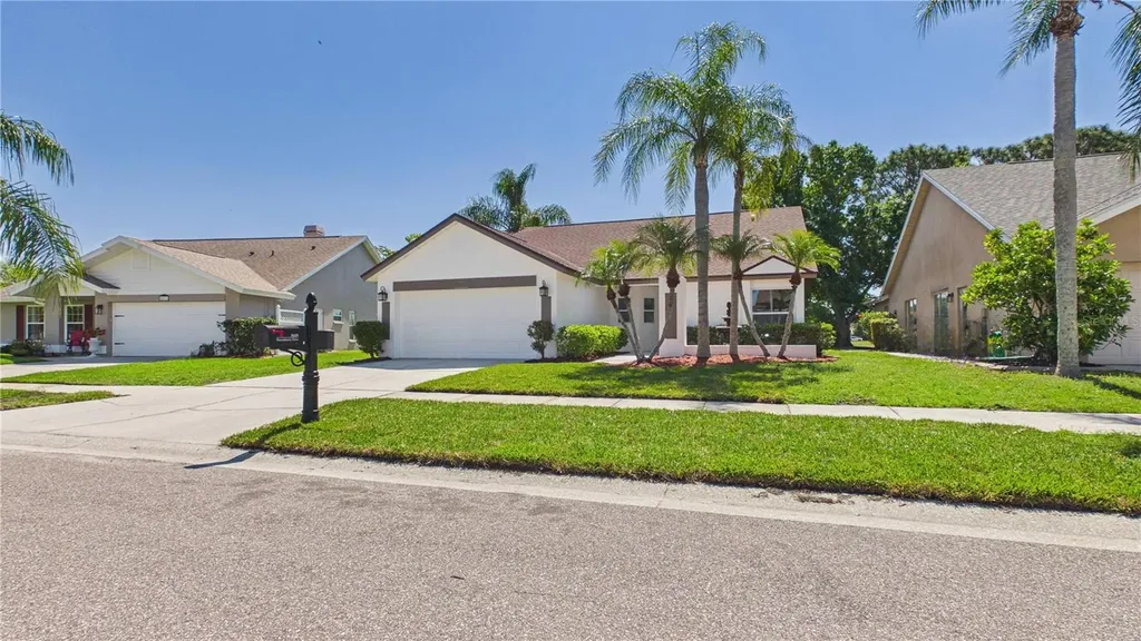 8609 Boysenberry Drive Tampa FL 33635