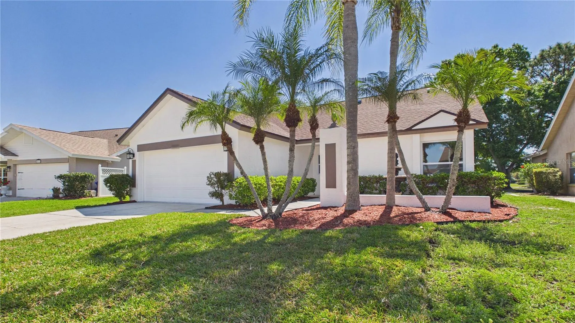 8609 Boysenberry Drive Tampa FL 33635