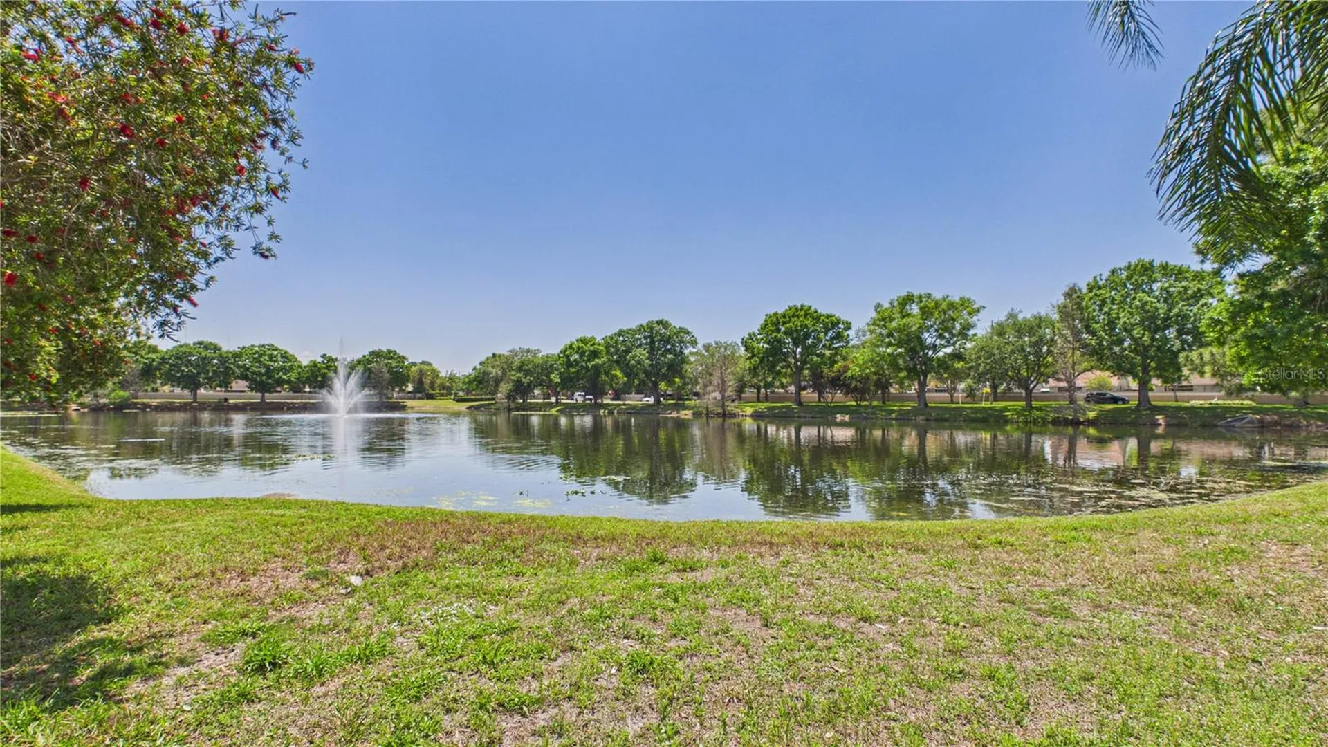 8609 Boysenberry Drive Tampa FL 33635