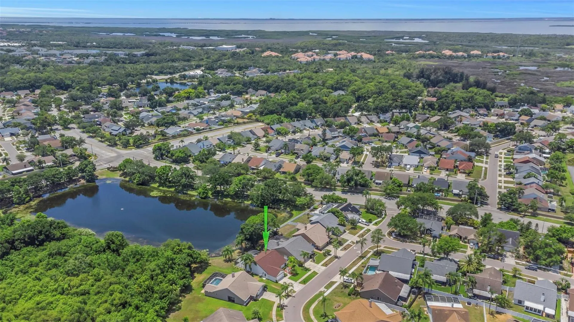 8609 Boysenberry Drive Tampa FL 33635