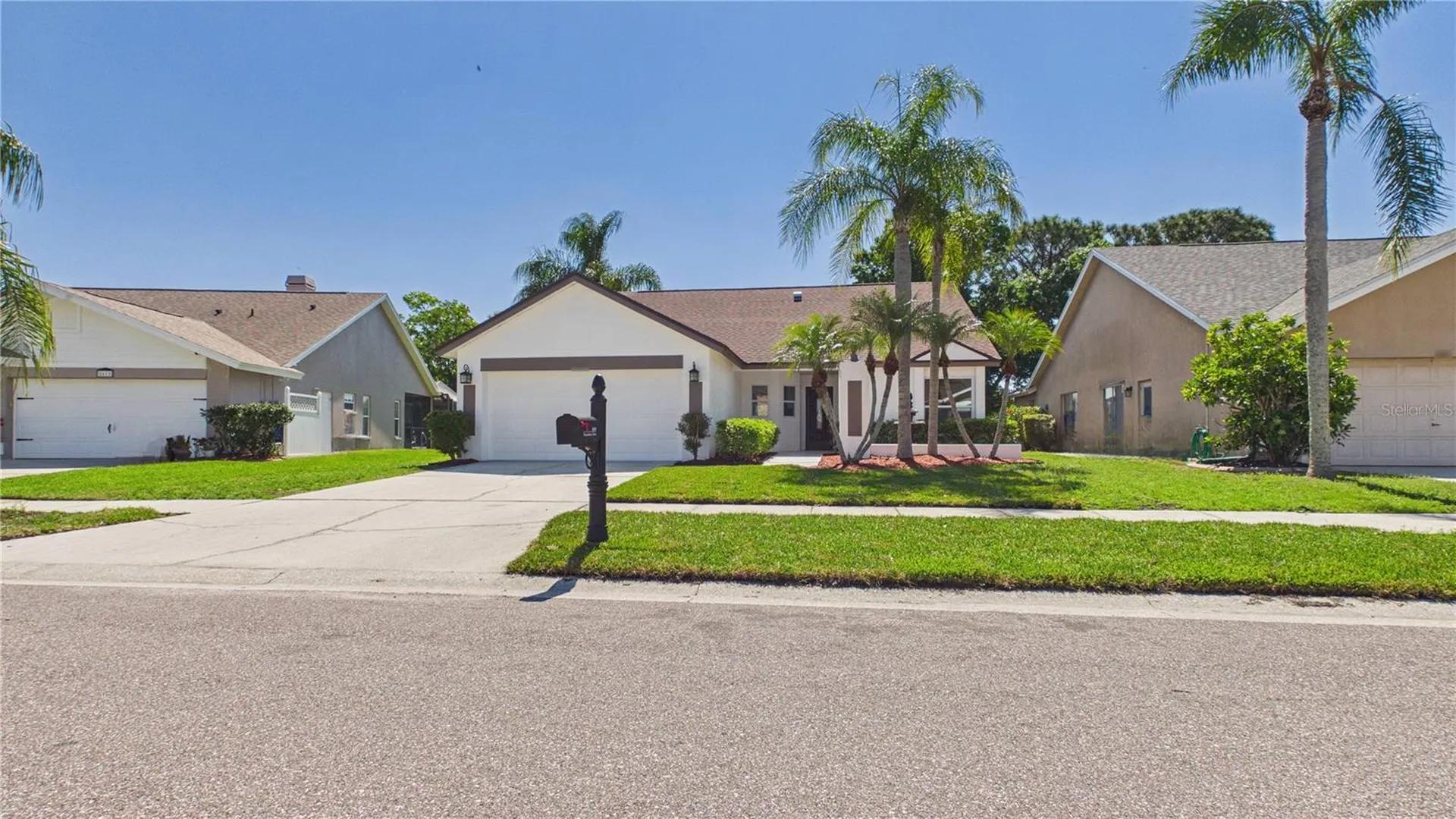 8609 Boysenberry Drive Tampa FL 33635