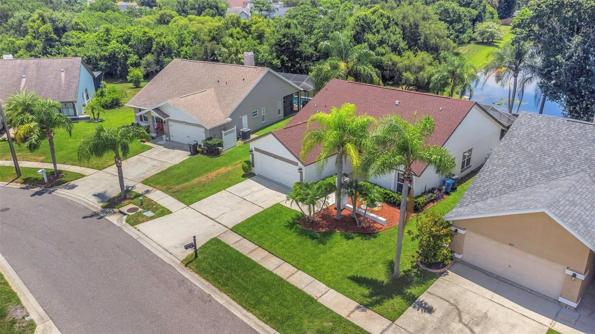 8609 Boysenberry Drive Tampa FL 33635