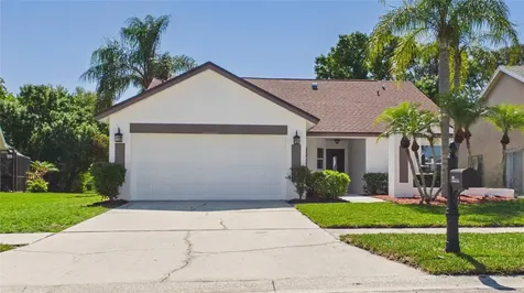 8609 Boysenberry Drive Tampa FL 33635