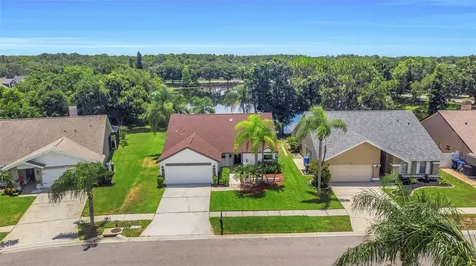 8609 Boysenberry Drive Tampa FL 33635