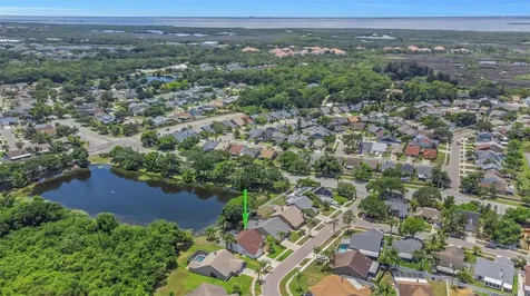 8609 Boysenberry Drive Tampa FL 33635