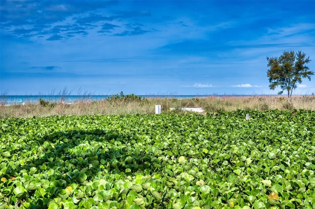 6701 Gulf Of Mexico Drive Longboat Key FL 34228