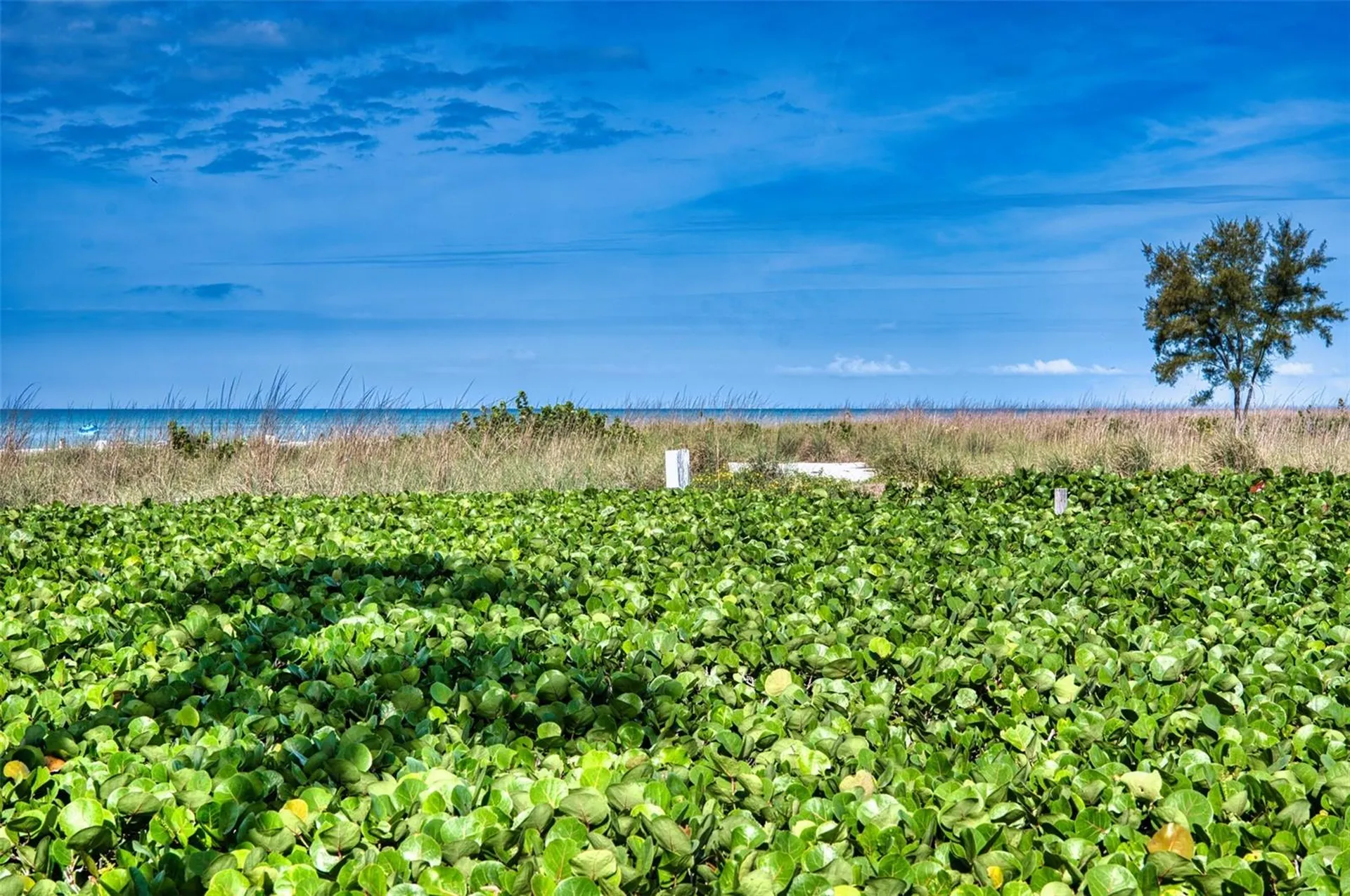 6701 Gulf Of Mexico Drive Longboat Key FL 34228